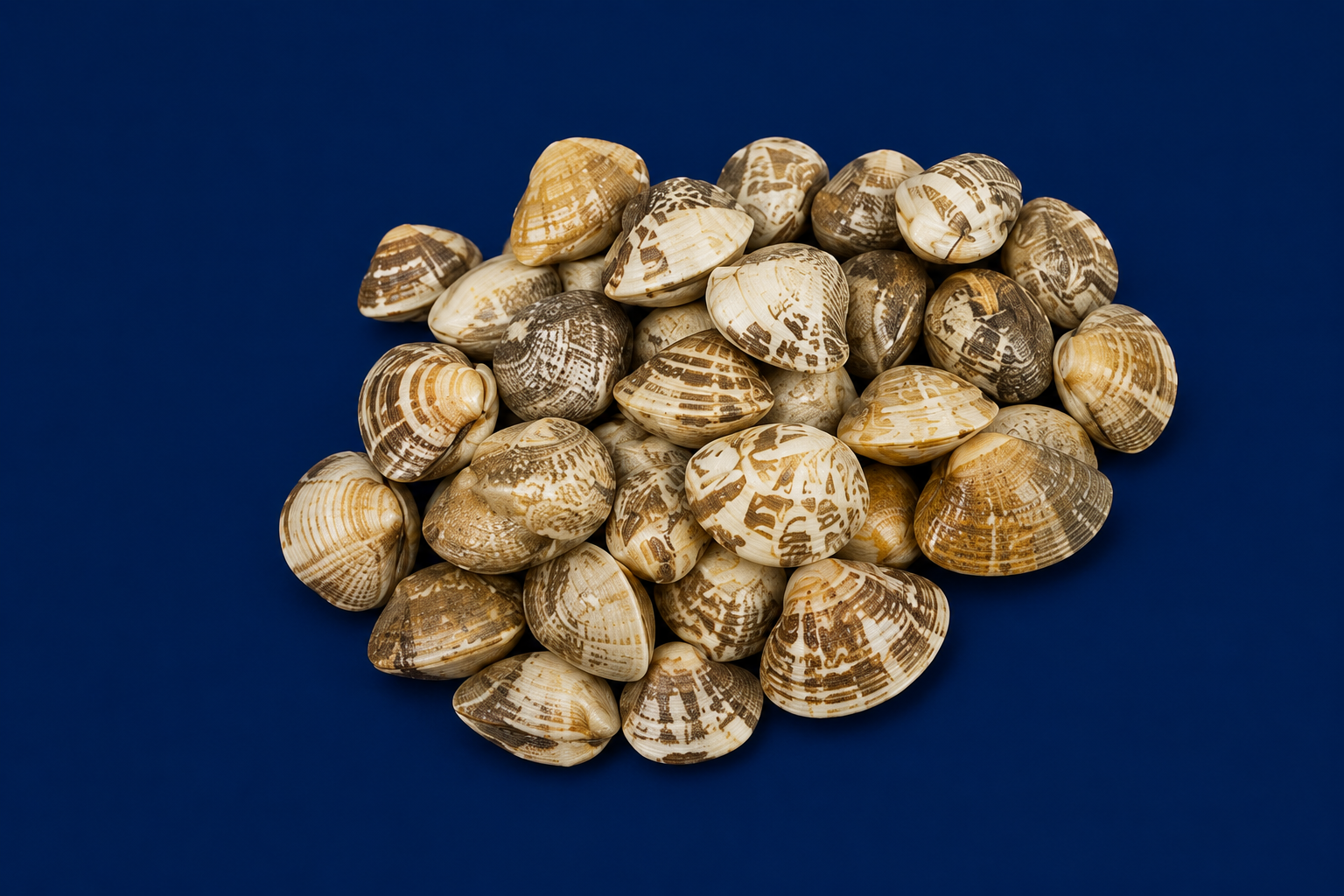 Mixed Clams