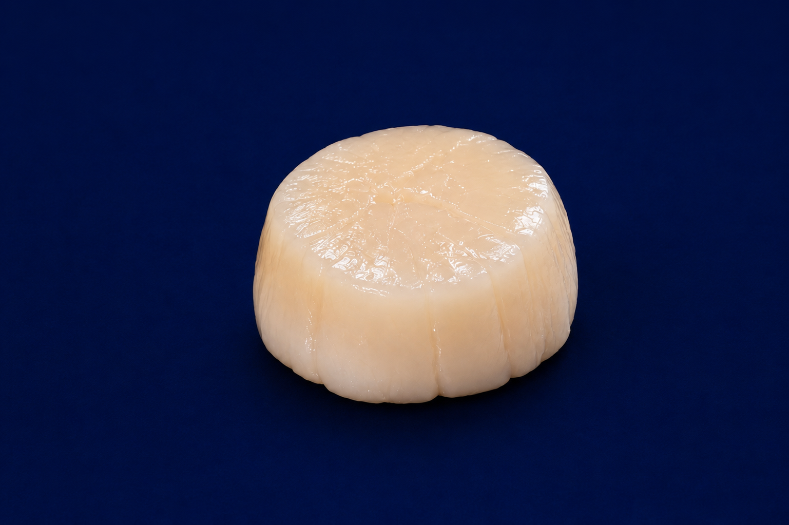 Buy Roe Off Scallop Online: Fresh Shellfish & Molluscs Gold Coast ...